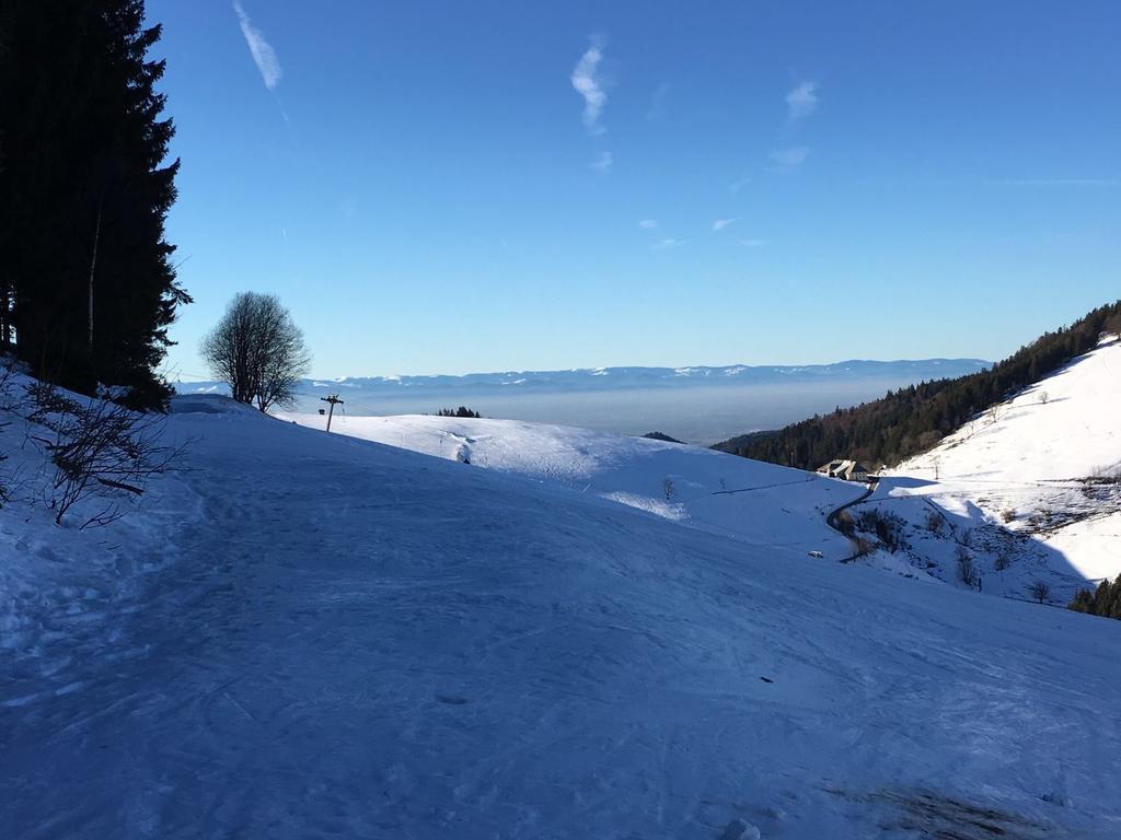 Gasthaus Zum Hirschen シュタウフェン・イム・ブライスガウ エクステリア 写真