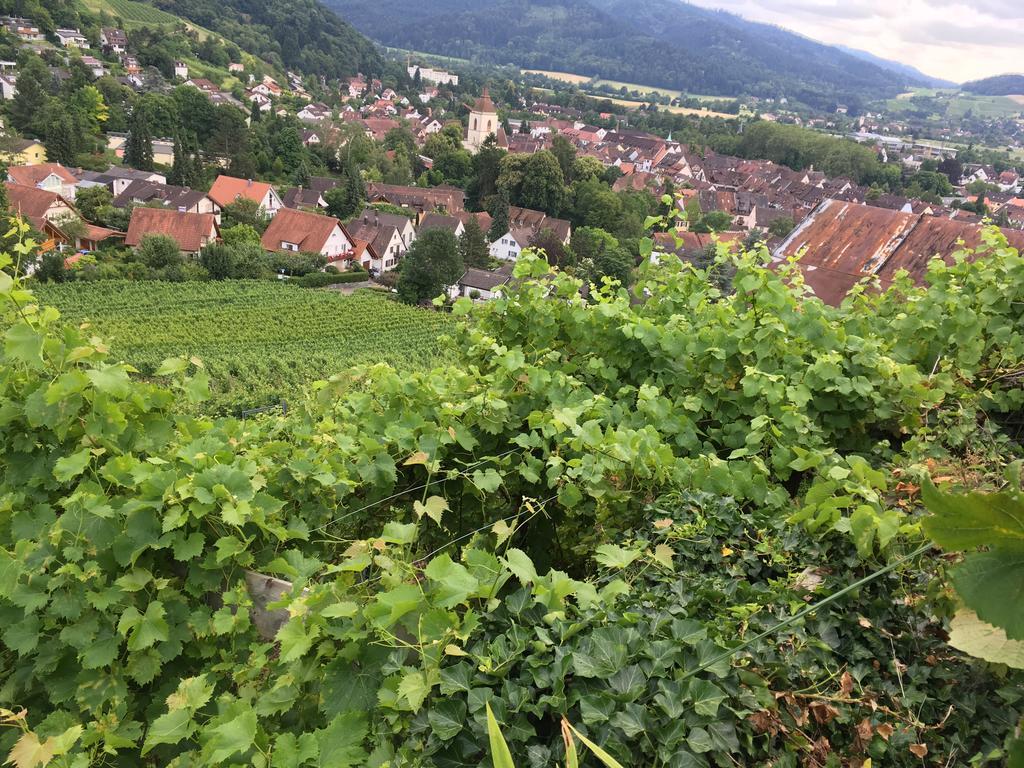 Gasthaus Zum Hirschen シュタウフェン・イム・ブライスガウ エクステリア 写真